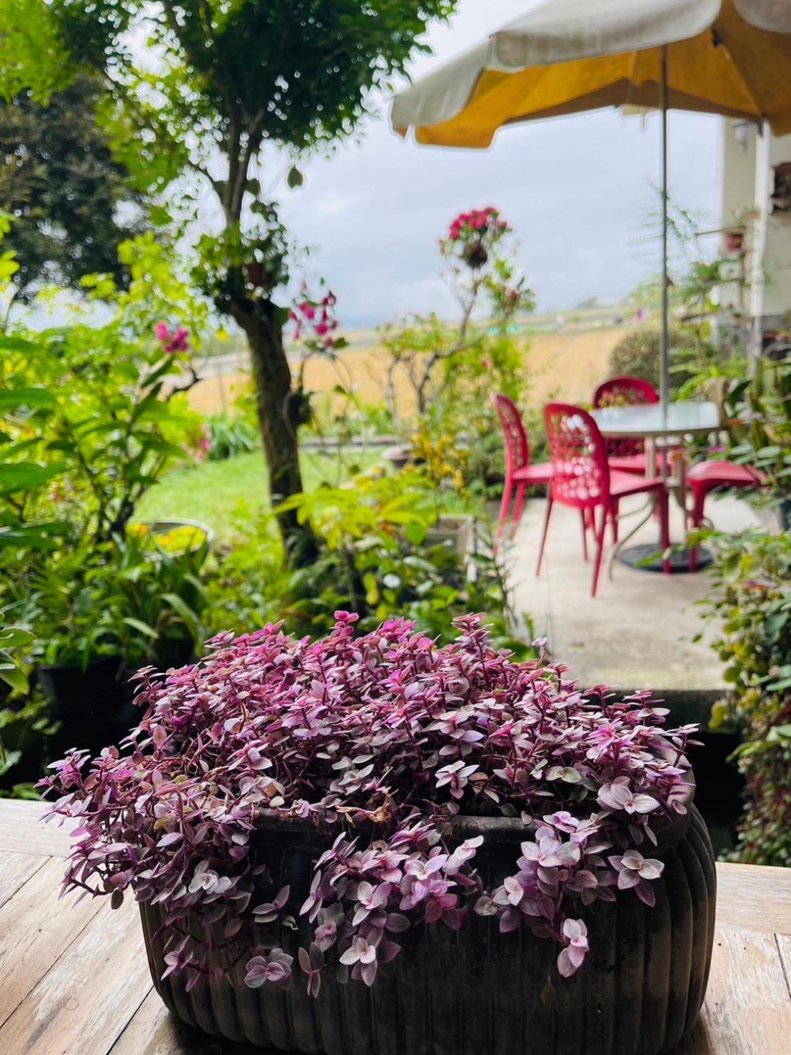 Xian Qing Yu Zhi Homestay Chishang Bagian luar foto